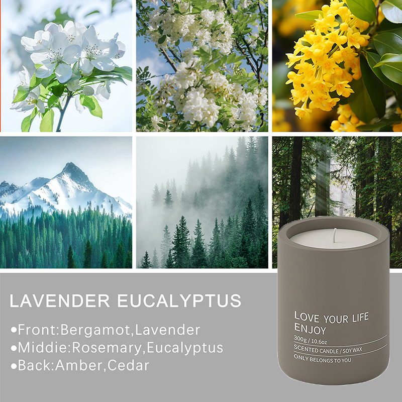 Нинбо Habest Home Co., Ltd.