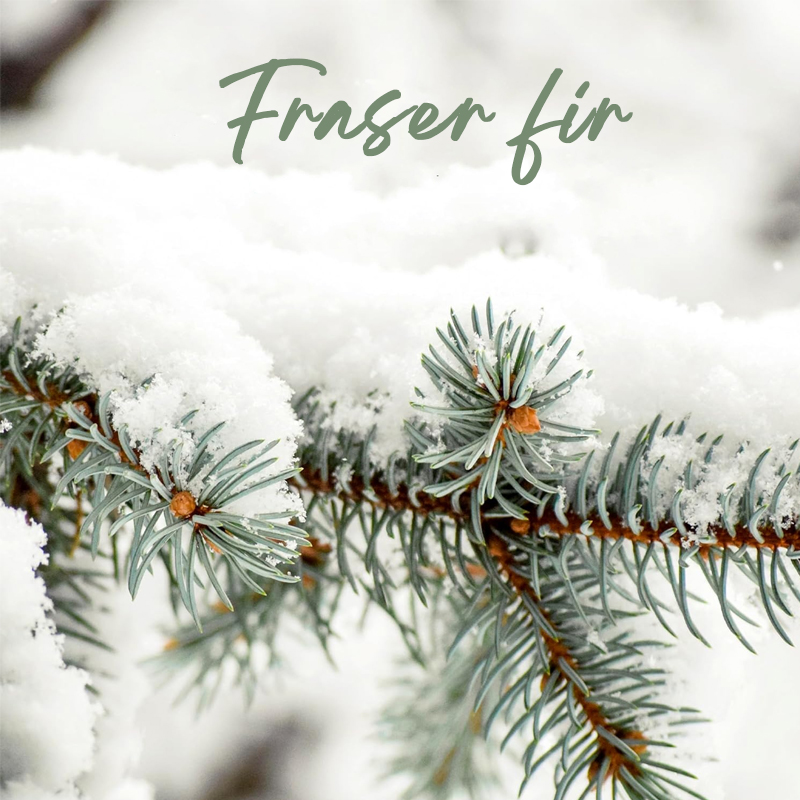 Нинбо Habest Home Co., Ltd.